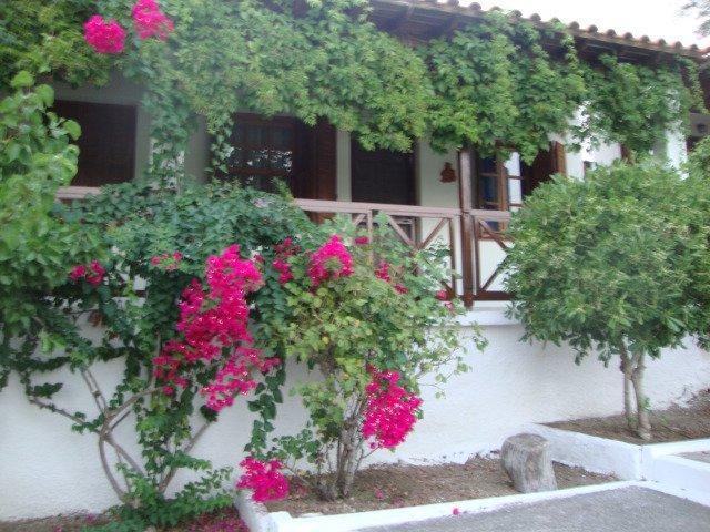 Sonia Studios Nees Kidonies Номер фото